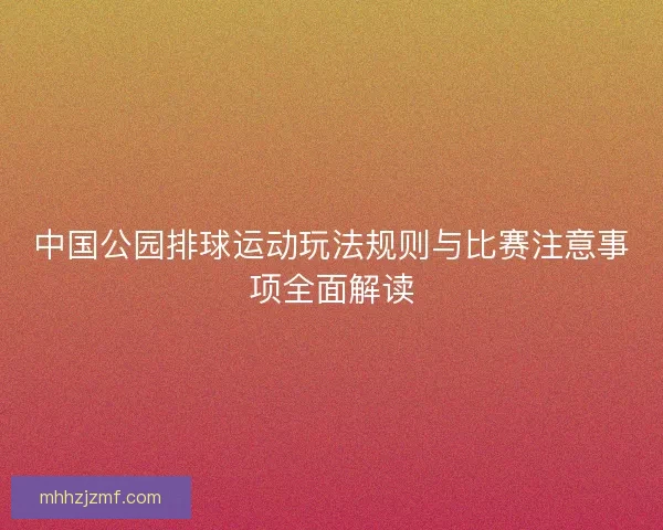 中国公园排球运动玩法规则与比赛注意事项全面解读
