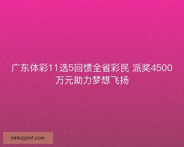 广东体彩11选5回馈全省彩民 派奖4500万元助力梦想飞扬